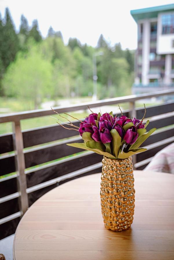 Silver Mountain Resort & Spa Пояна-Брашов Экстерьер фото